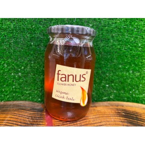 Fanus Süzme Çiçek Balı 460gr